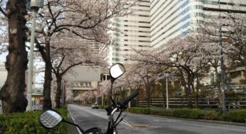 あたらしい年度がはじまる前にやること整理（2021年度）